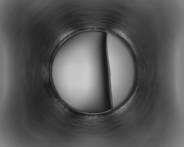 X0000086941025200704161030