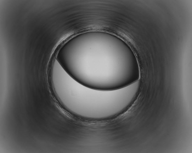 X0000086941026200704161030