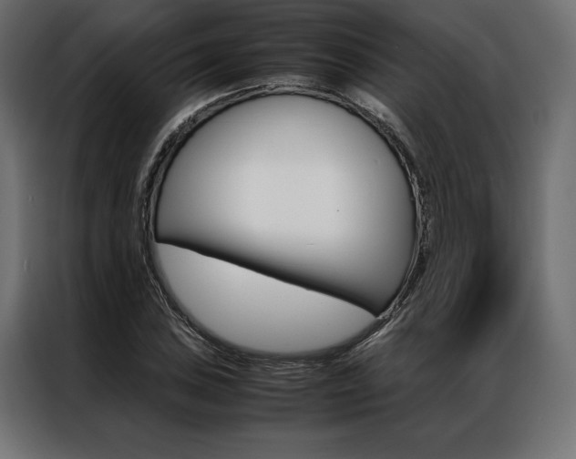 X0000086941027200704161030