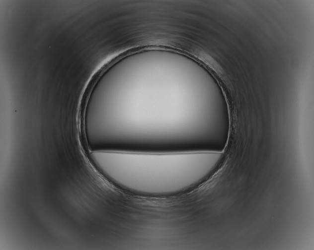 X0000086941028200704161030