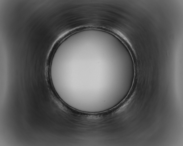 X0000086941029200704161030