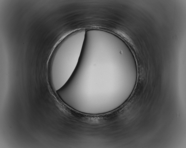 X0000086941031200704161030