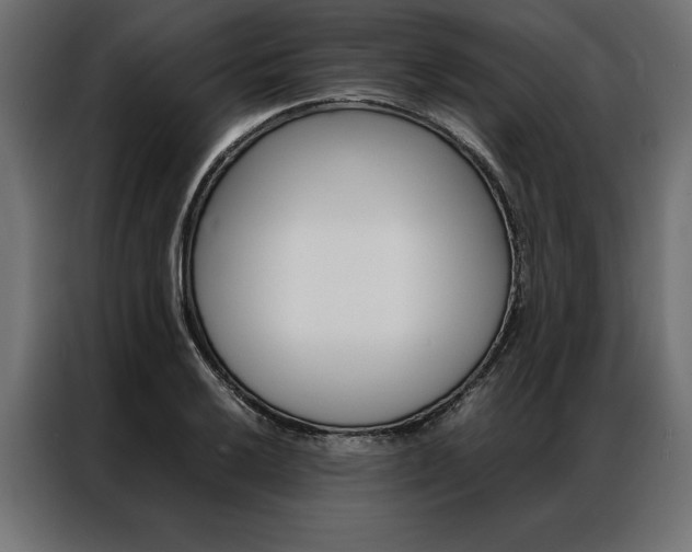 X0000086941032200704161030