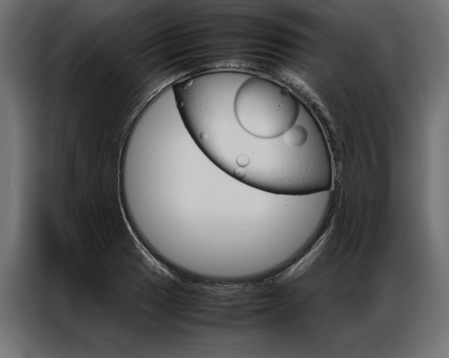 X0000086941033200704161030