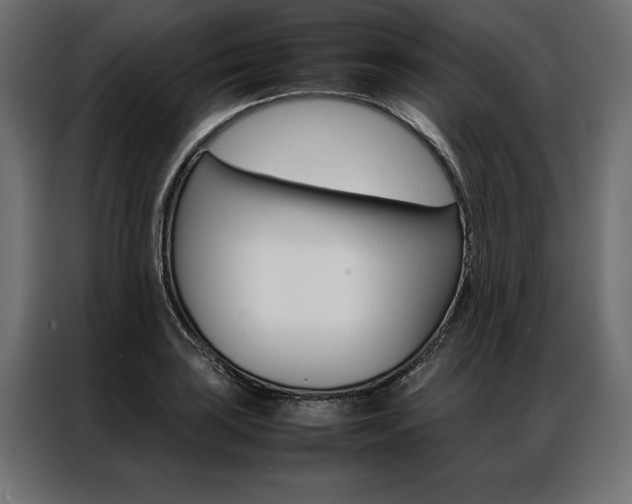 X0000086941035200704161030