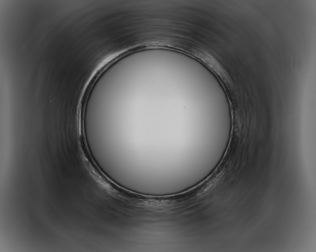 X0000086941036200704161030
