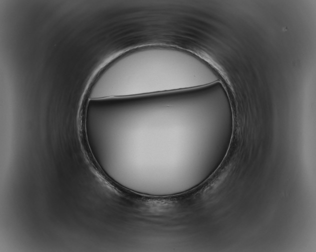 X0000086941037200704161030