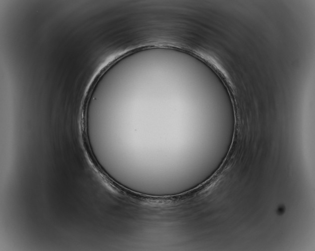 X0000086941040200704161030