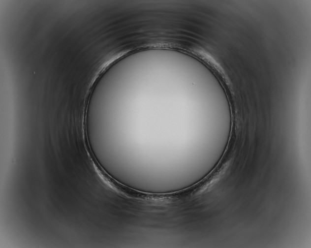 X0000086941041200704161030