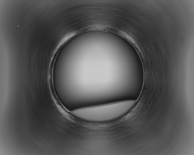 X0000086941042200704161030