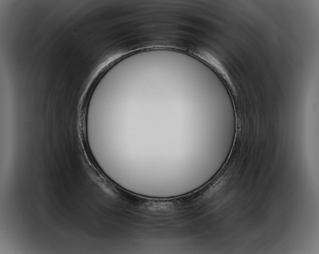 X0000086941043200704161030