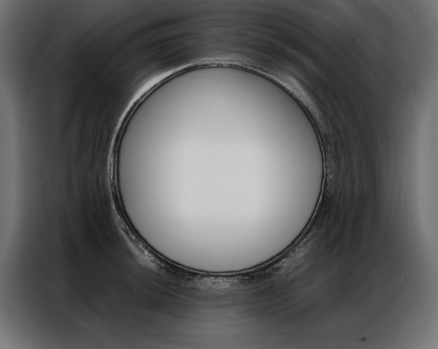 X0000086941044200704161030