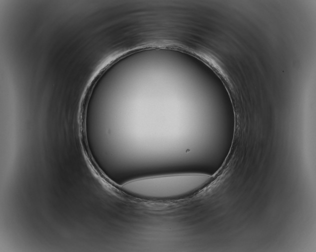 X0000086941046200704161030