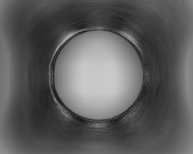 X0000086941047200704161030