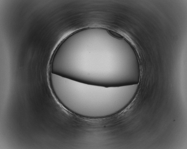 X0000086941048200704161030