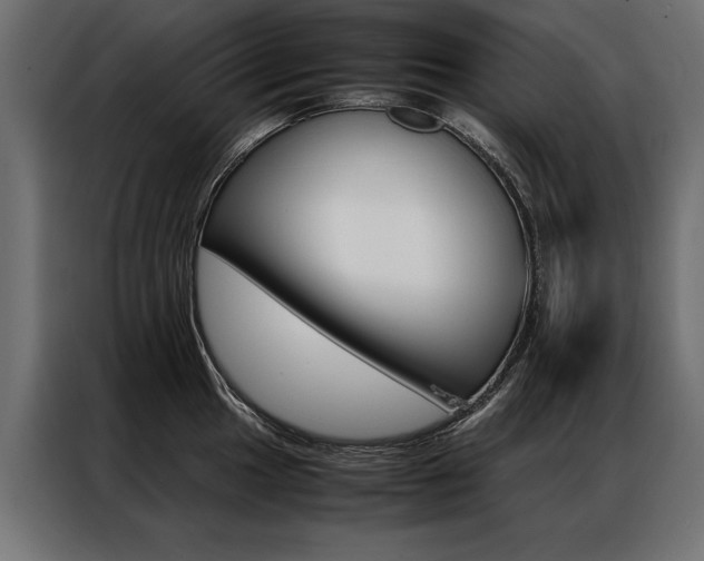 X0000086941049200704161030
