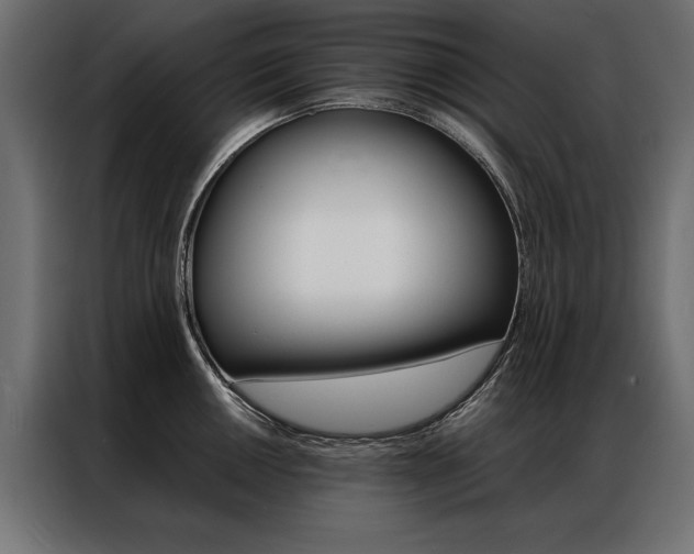 X0000086941050200704161030