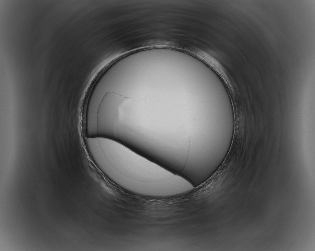 X0000086941051200704161030