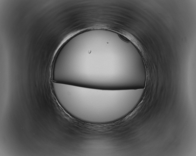 X0000086941052200704161030