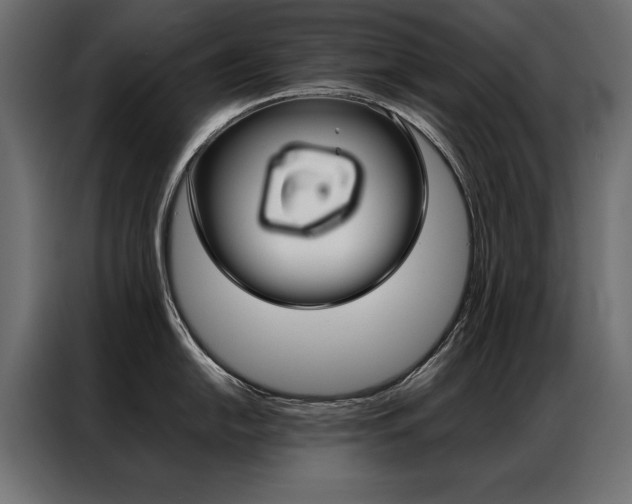 X0000086941054200704161030
