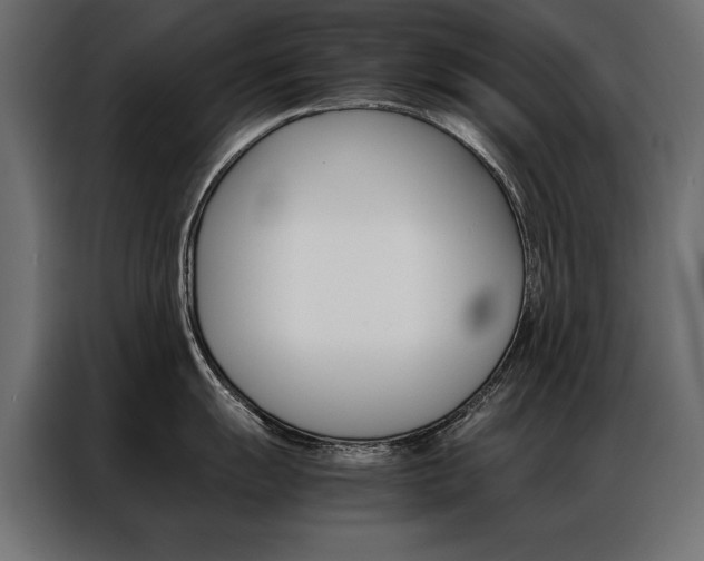 X0000086941055200704161030