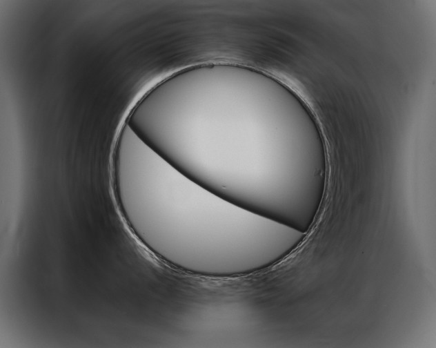 X0000086941056200704161031