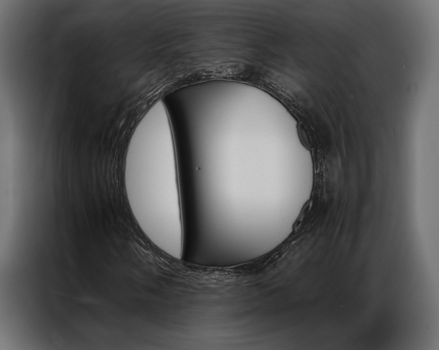 X0000086941058200704161030