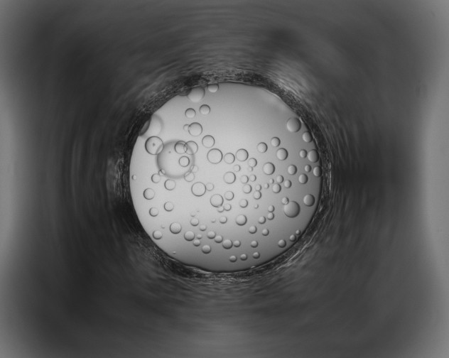 X0000086941059200704161030