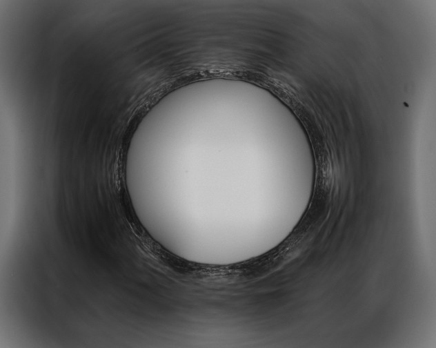 X0000086941060200704161030