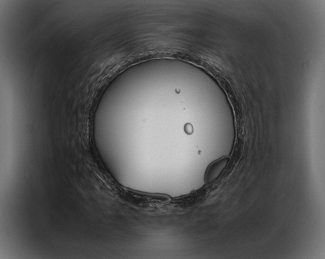 X0000086941061200704161030