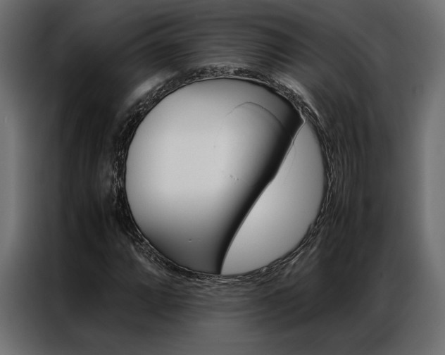 X0000086941064200704161030