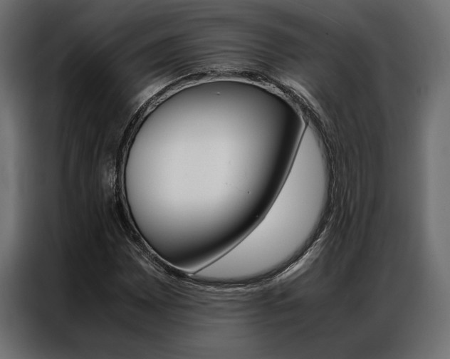 X0000086941065200704161030