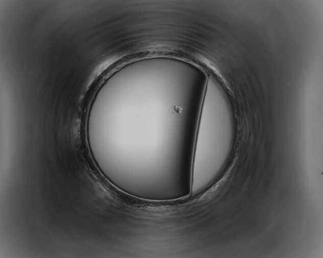 X0000086941066200704161030