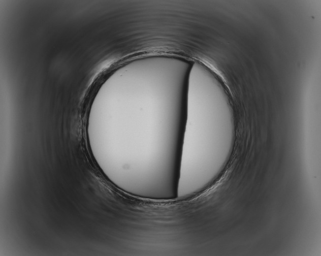 X0000086941067200704161030