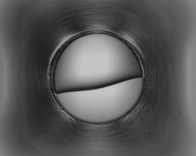 X0000086941068200704161030