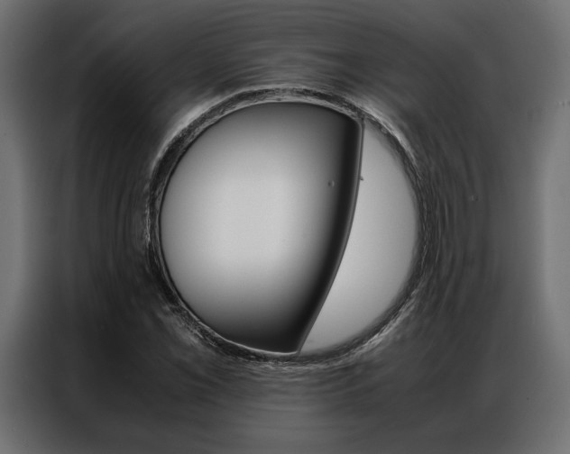 X0000086941069200704161030