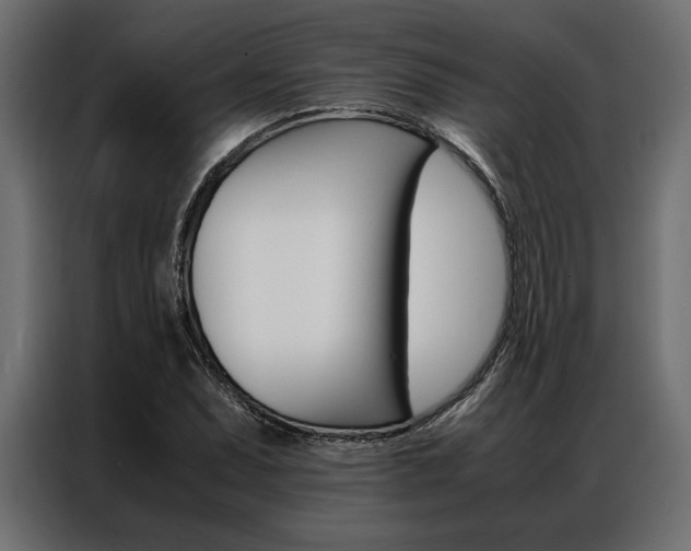 X0000086941071200704161030