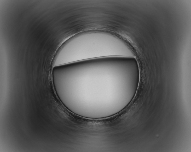 X0000086941073200704161030