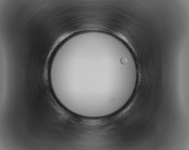 X0000086941074200704161030