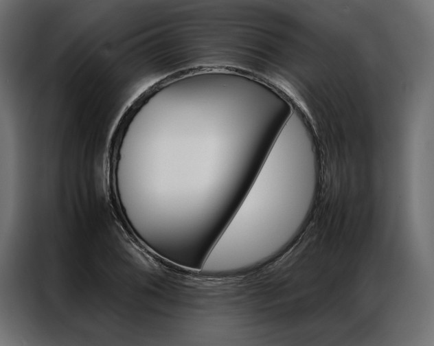 X0000086941076200704161029