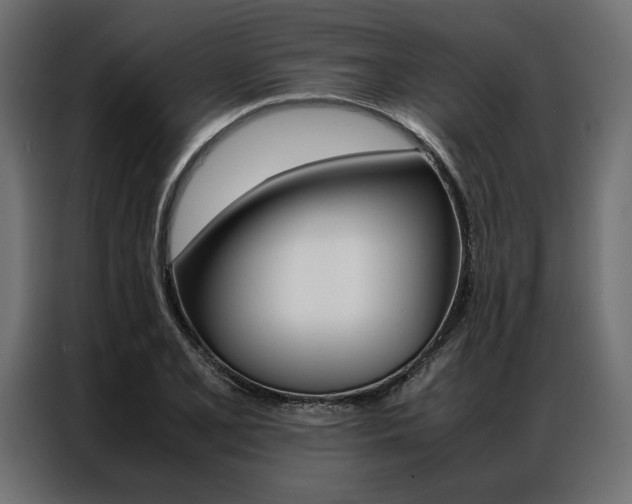 X0000086941077200704161029