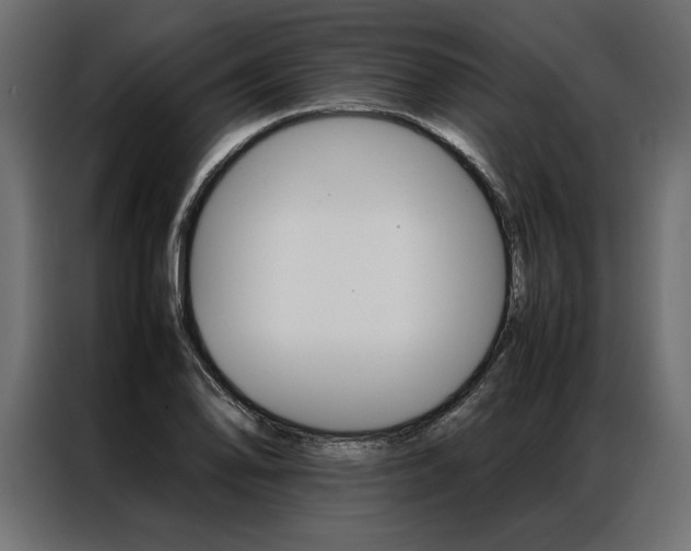 X0000086941078200704161029