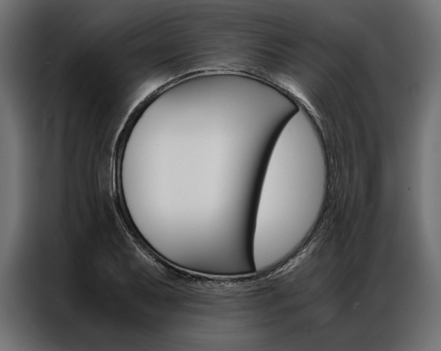 X0000086941079200704161029