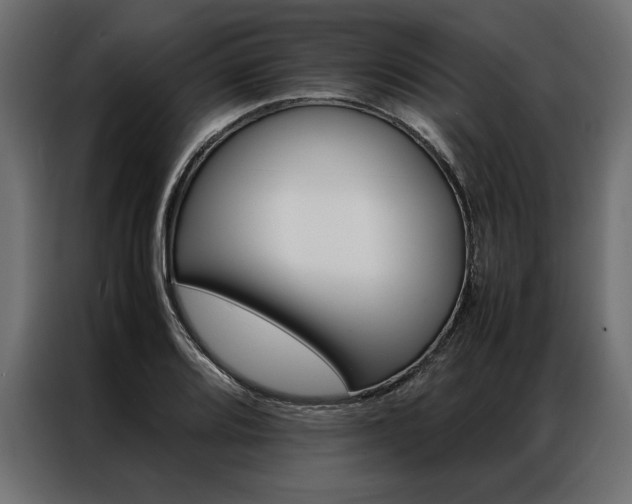 X0000086941080200704161029