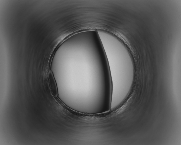 X0000086941081200704161029