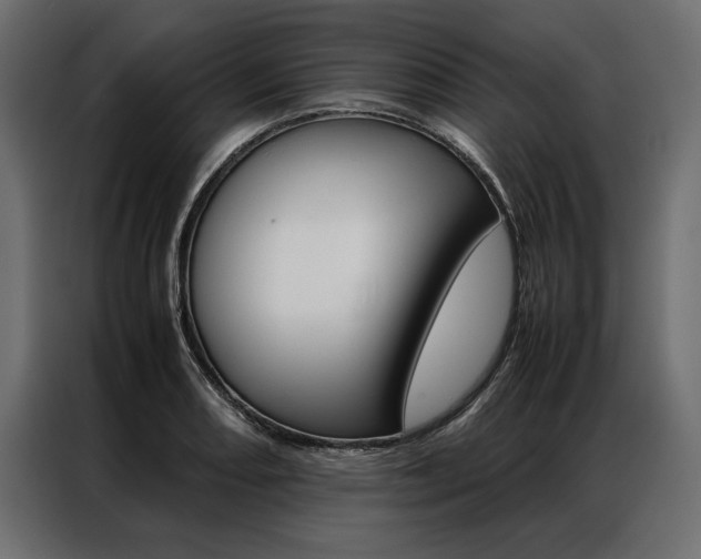 X0000086941082200704161029
