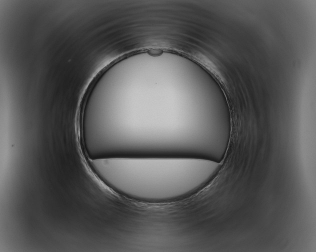 X0000086941084200704161029