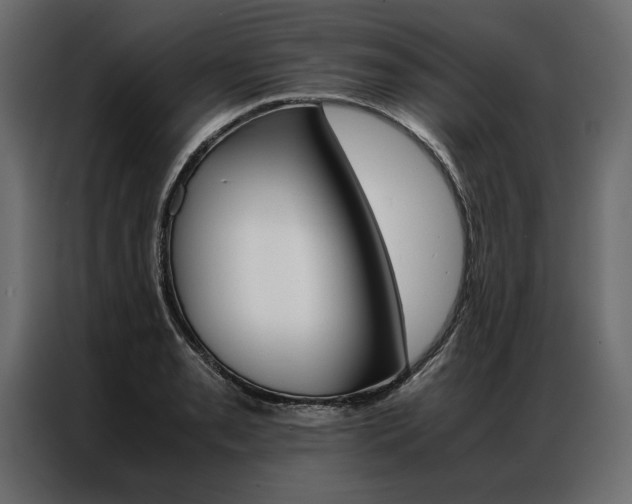 X0000086941085200704161029