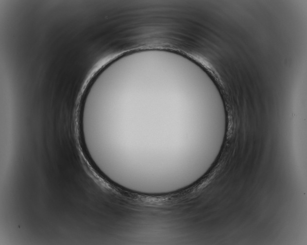 X0000086941086200704161029
