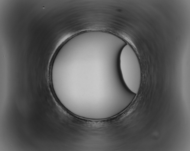 X0000086941087200704161029